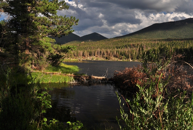 Sprague Lake